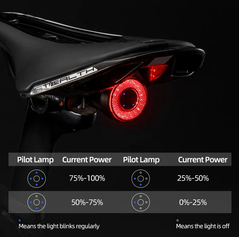ROCKBROS Bicycle Smart Auto Brake Sensing Light
