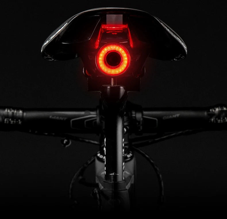 ROCKBROS Bicycle Smart Auto Brake Sensing Light
