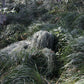 Ghillie Suit Unisex 2024 Camouflage Set