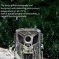 Mini HD Trail Camera - Night Vision & Waterproof