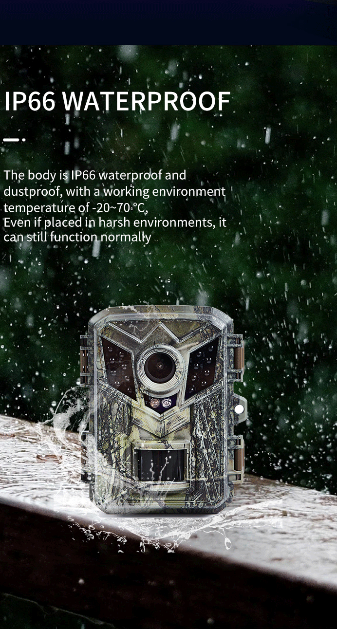 Mini HD Trail Camera - Night Vision & Waterproof