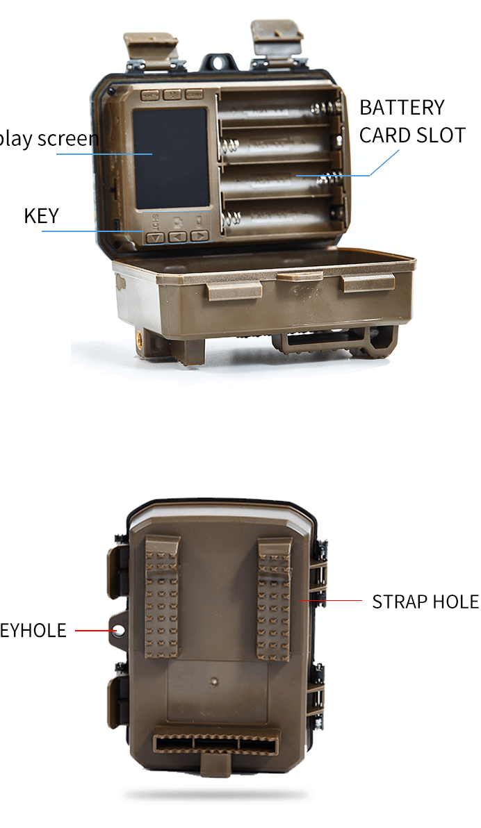 Mini HD Trail Camera - Night Vision & Waterproof