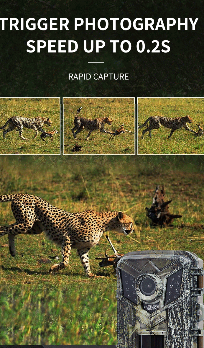 Mini HD Trail Camera - Night Vision & Waterproof