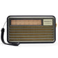 M-521BTS Multi-Function Solar Radio
