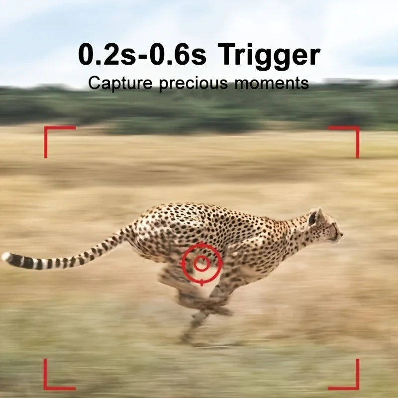 Mini HD Trail Camera - Night Vision & Waterproof