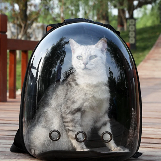 Transparent Space Capsule Pet Backpack – Portable & Breathable Cat Carrier
