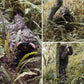 Ghillie Suit Men Women Kids 3D Leafy Bionic Camouflage Hunting Clothing: