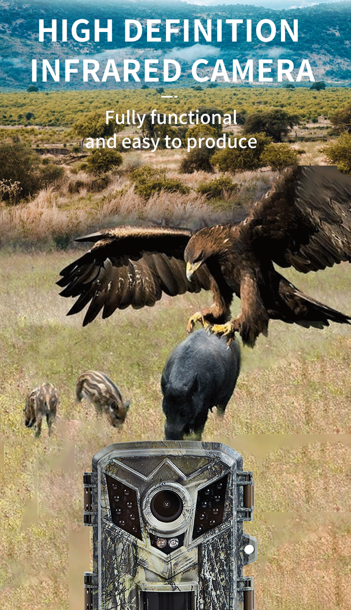 Mini HD Trail Camera - Night Vision & Waterproof