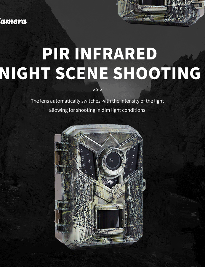 Mini HD Trail Camera - Night Vision & Waterproof