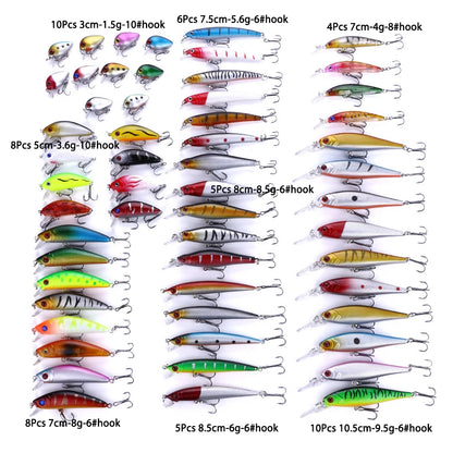 56/43/30/20/10/5Pcs Fishing Lures Kit